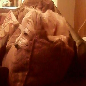 Meet your Posher, Tony